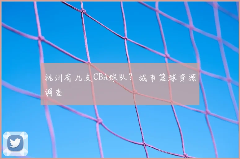 杭州有几支CBA球队？城市篮球资源调查