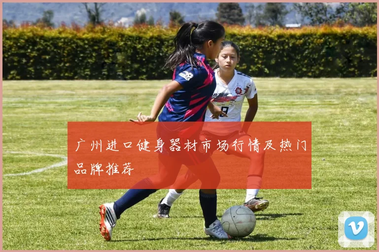 广州进口健身器材市场行情及热门品牌推荐