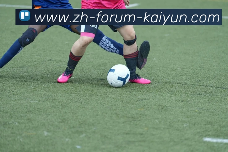 kaiyun服务体系